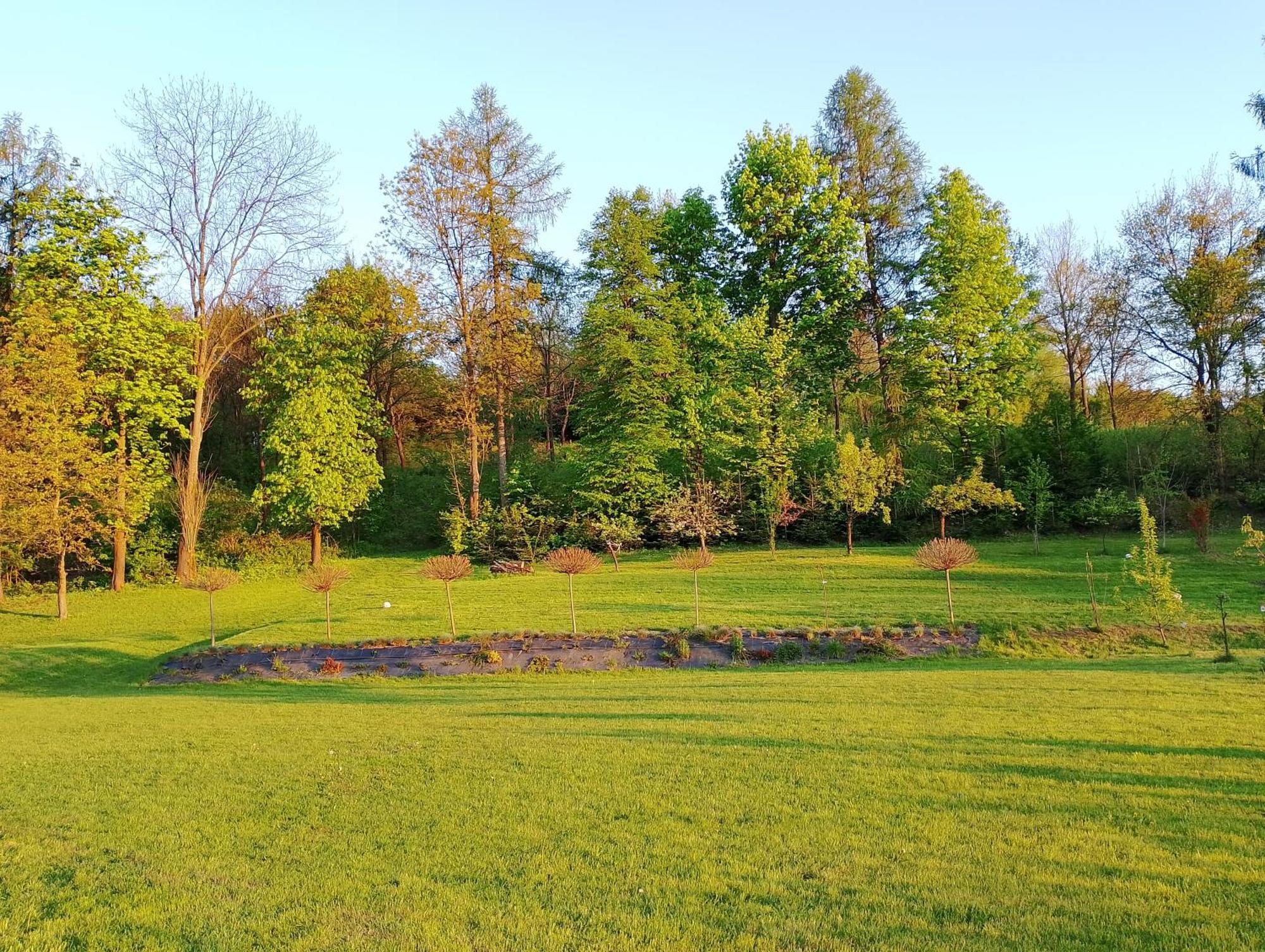 Z Ogrodem I Przemysl